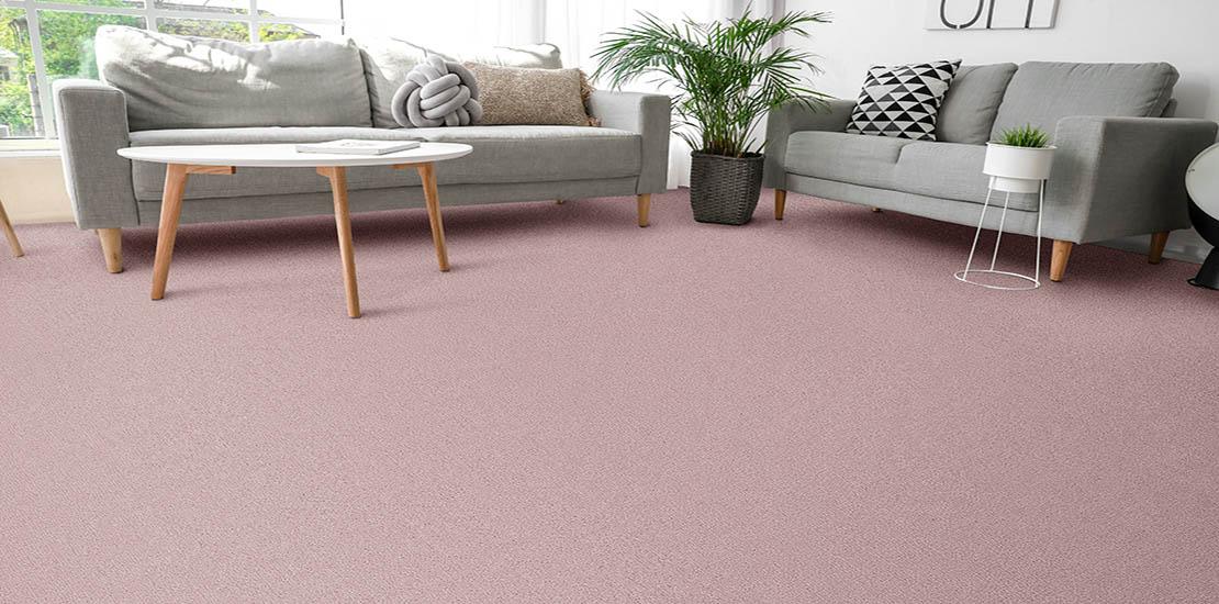 Stylish interior of living room with light pink carpet