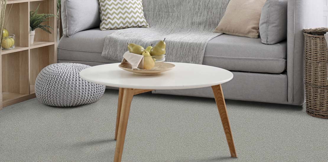 Living area with light grey carpet and sofa