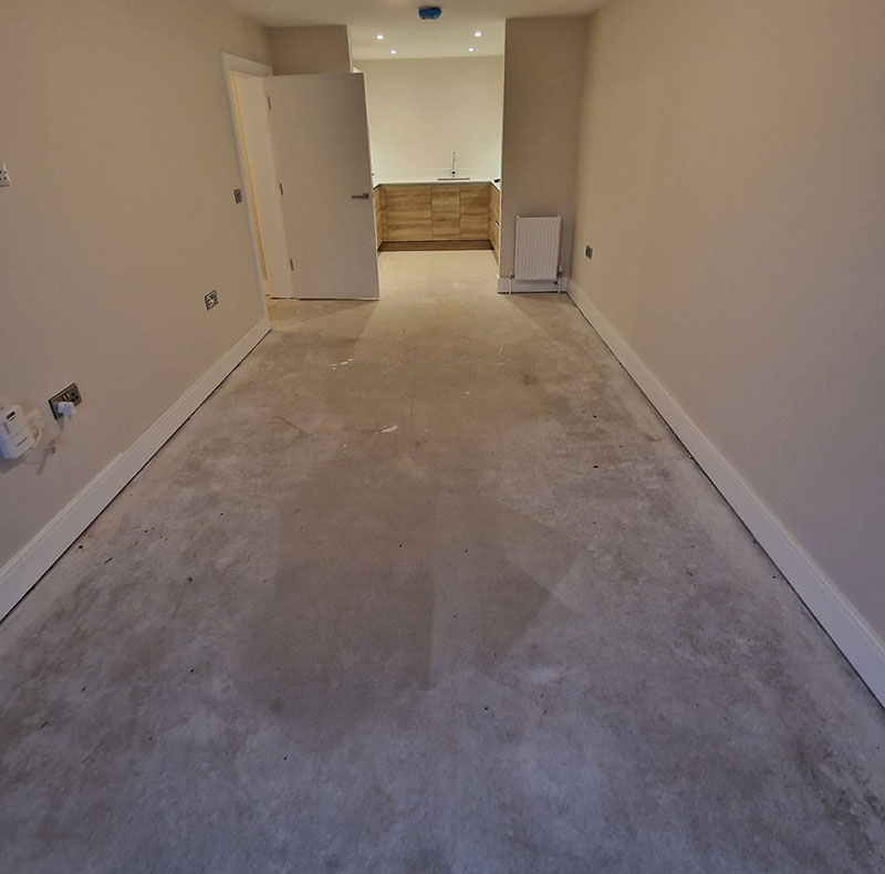 A before photo of client carpet in their kitchen